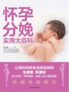 怀孕分娩实用大百科 封面