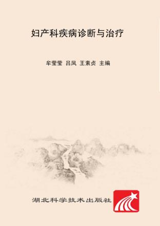 妇产科疾病诊断与治疗 封面