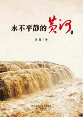 永不平静的黄河 封面