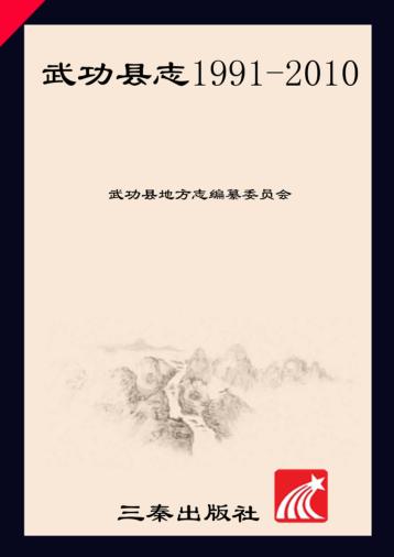 武功县志1991-2010 封面