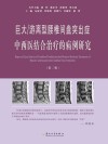 巨大游离型腰椎间盘突出症中西医结合治疗的病例研究 第2版 封面