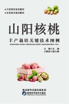 山阳核桃丰产栽培关键技术图例 封面
