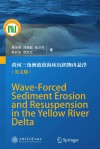 黄河三角洲波致海床沉积物再悬浮 封面