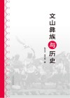 文山彝族与历史 封面