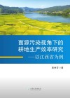 面源污染视角下的耕地生产效率研究 封面