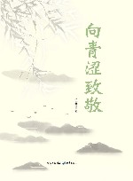 向青涩致敬 封面
