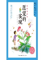 愿望的实现 封面