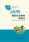 肉鸭稻田生态种养新技术 封面