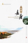 收藏嘉荫 封面