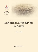 反贫困社会工作案例研究 协会实践 封面