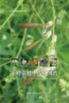 赤峰常用中药材图谱 封面