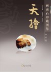 天绘  画面石珍藏图集 封面