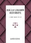刑事立法与刑法解释前沿问题研究 封面