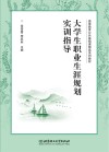 大学生职业生涯规划实训指导 封面