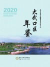 大武口区年鉴  2020 封面