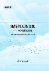 独特的大地文化 中国建筑透视 封面