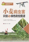 小麦病虫害识别与绿色防控图谱 封面