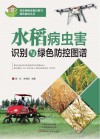 水稻病虫害识别与绿色防控图谱 封面