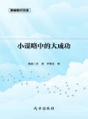 小谋略中的大成功 封面