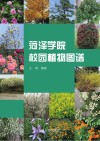 菏泽学院校园植物图谱 封面
