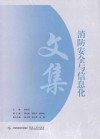 消防安全与信息化文集 封面