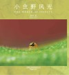 小虫野风光 封面