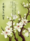 千疮百孔的爱 封面