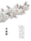 千纸鹤 封面