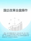 国企改革全盘操作 封面