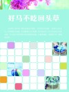 好马不吃回头草 封面