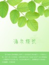 海尔模式 封面