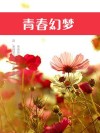 青春幻梦 封面
