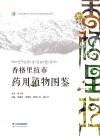香格里拉市药用植物图鉴 封面