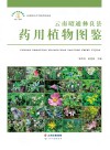 云南昭通彝良县药用植物图鉴 封面