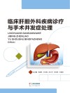 临床肝胆外科疾病诊疗与手术并发症处理 封面