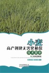 小麦高产创建无害化植保技术图册 封面