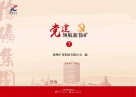 党建领航新徐矿 7 封面