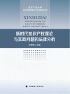 新时代知识产权理论与实践问题的法律分析 封面