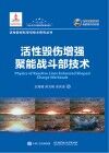 活性毁伤增强聚能战斗部技术 封面