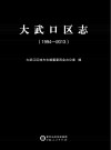 大武口区志  1994-2013  上下 封面
