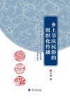 乡土节庆民俗的组织化传播 封面