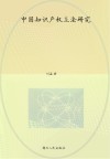 中国知识产权立法研究 封面