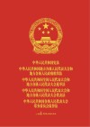 中华人民共和国宪法 地方组织法 选举法 代表法 监督法(人大工作版) 封面