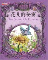 花儿的秘密 封面