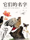 它们的名字 封面