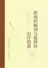 软组织解剖与银质针治疗图谱 封面