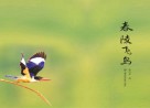 春陵飞鸟 封面