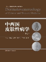 中西医皮肤性病学 下 封面