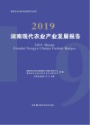 湖南现代农业产业发展报告 2019 封面