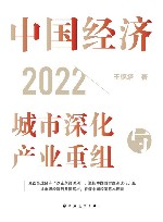 中国经济  2022  城市深化与产业重组 封面